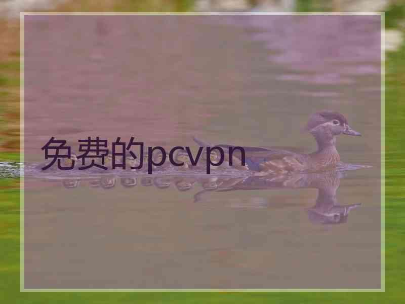 免费的pcvpn