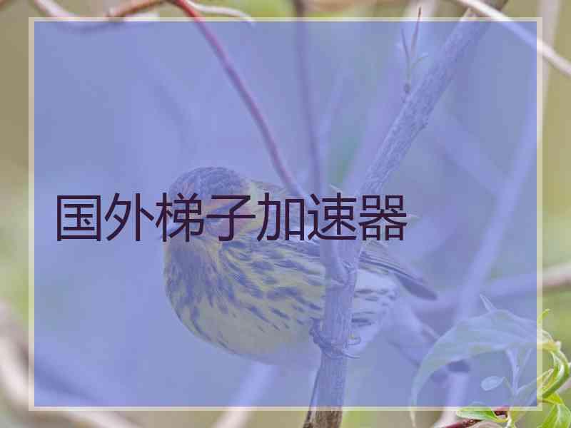 国外梯子加速器
