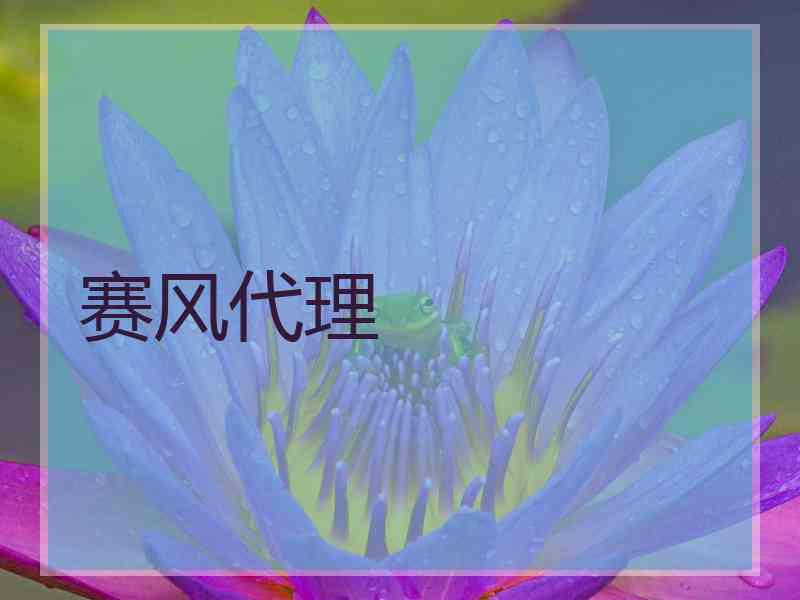 赛风代理