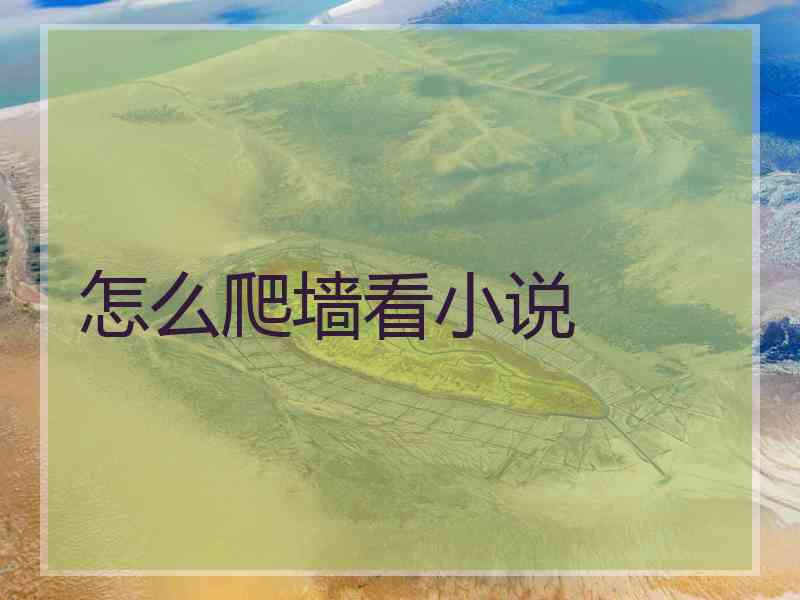 怎么爬墙看小说