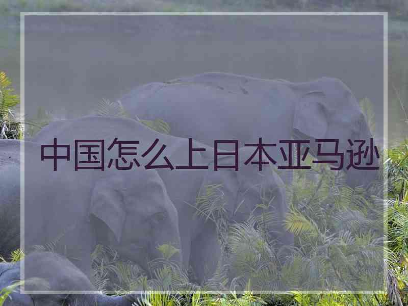 中国怎么上日本亚马逊